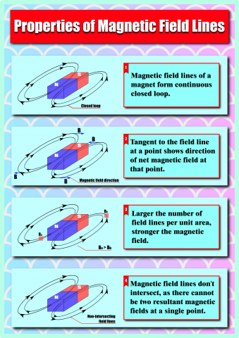 Properties of magnetic field lines