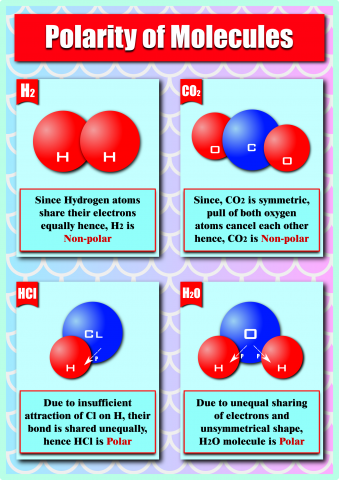 Polarity of molecules