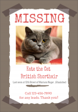 Cat missing poster