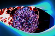 Corona Virus
